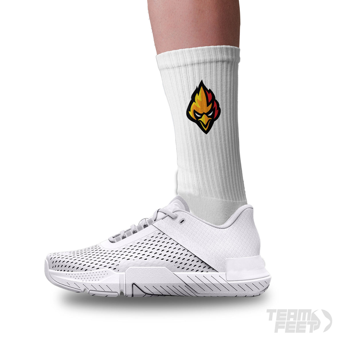 Arcadia Basketball - Crew