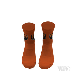 2014O2Grizz2ndEd - Mid