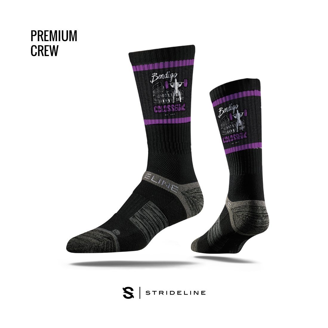 BENDIGO COLOSSEUM mockup