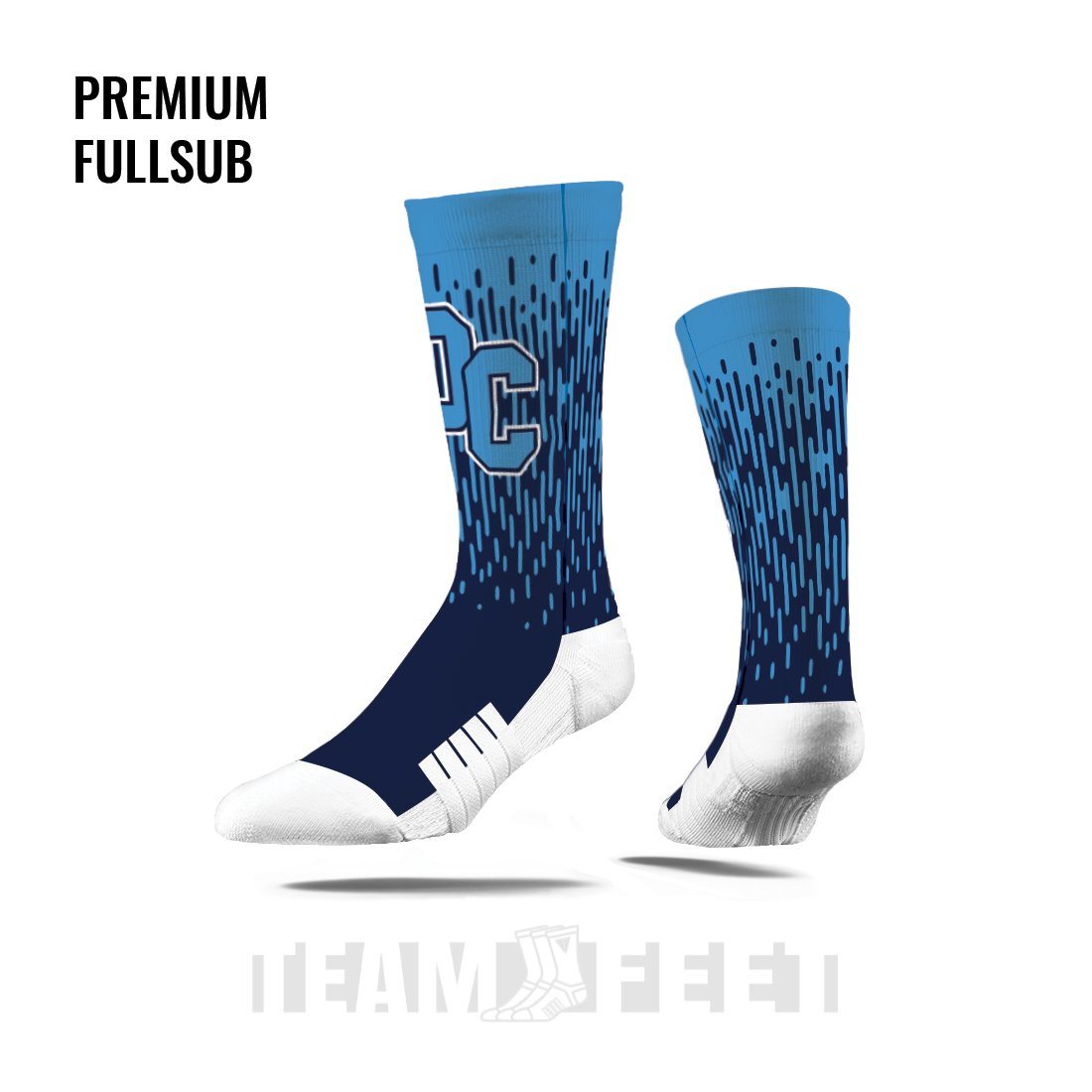 DELTA CHARTER SCHOOL