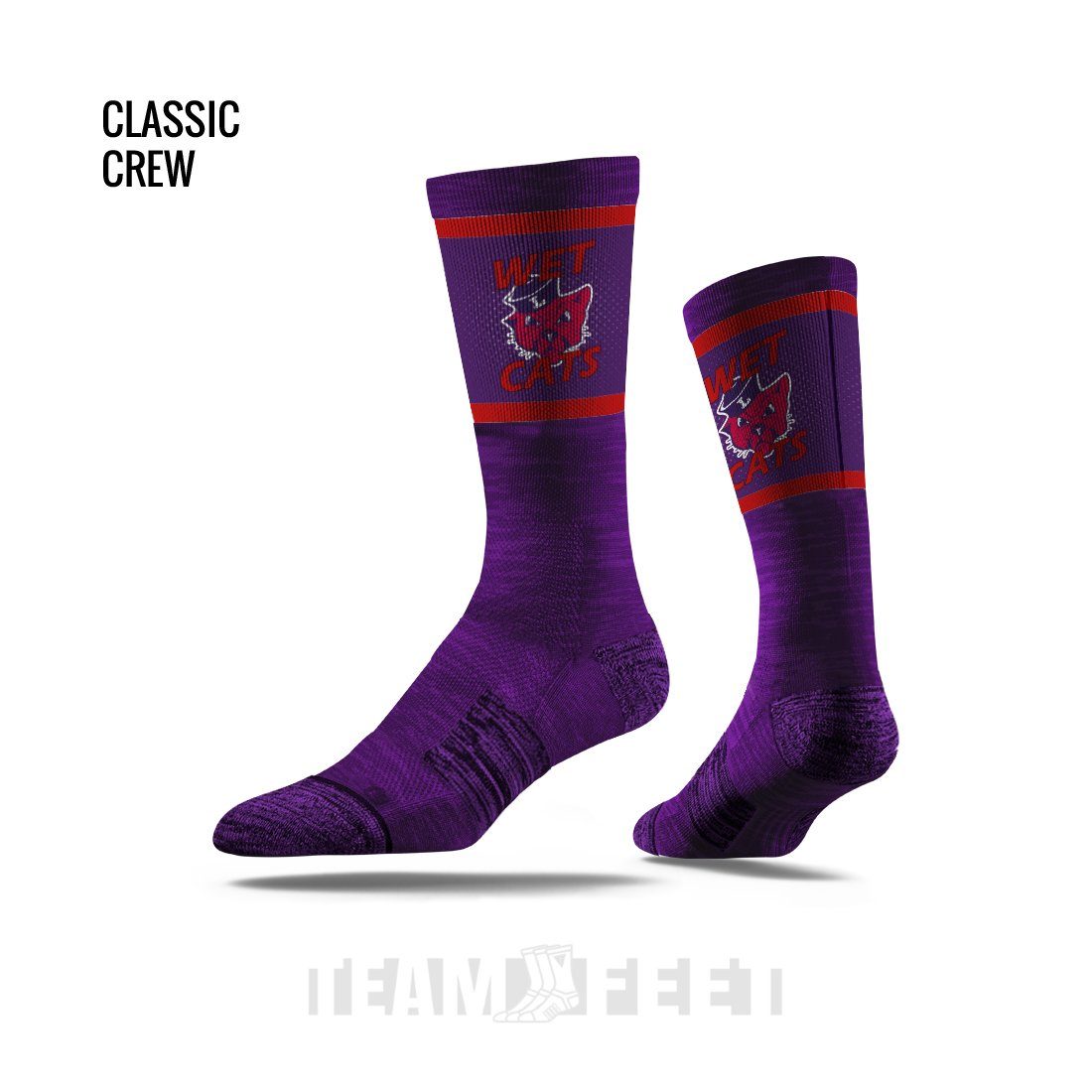 LINFIELD SWIM CLUB mockup