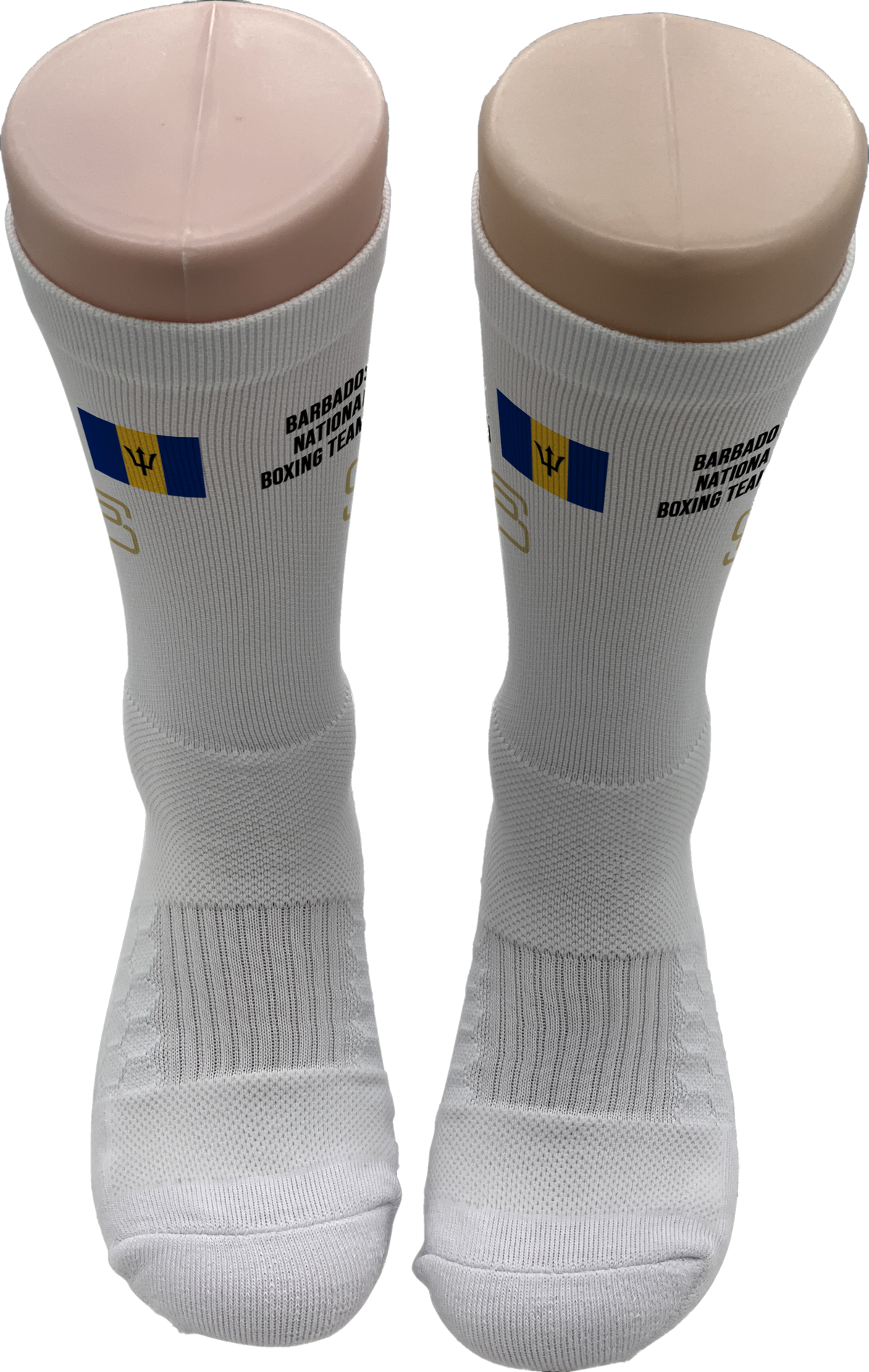 BARBADOS NATIONAL BOXING TEAM