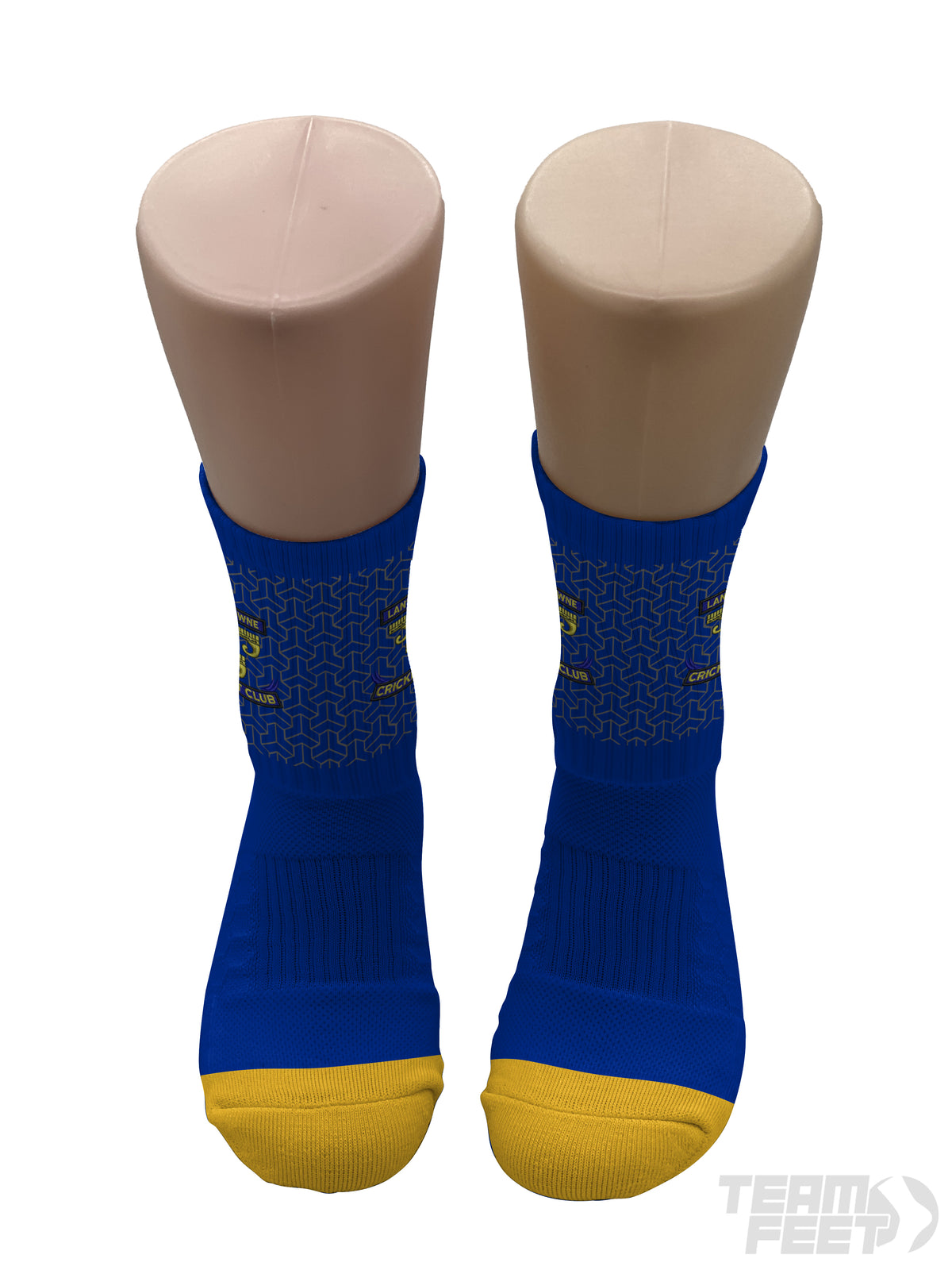 LANSDOWNE CRICKET CLUB