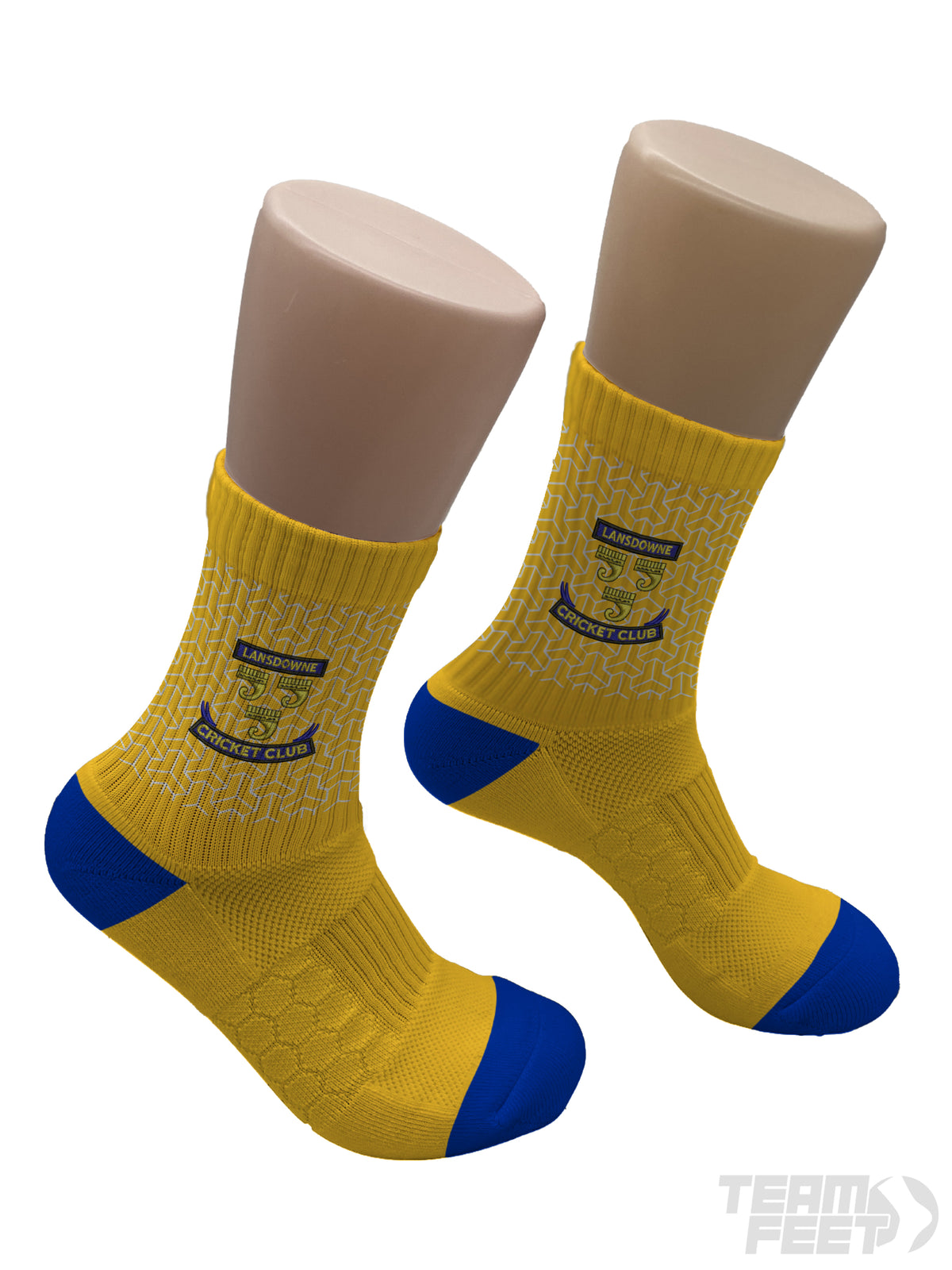 LANSDOWNE CRICKET CLUB