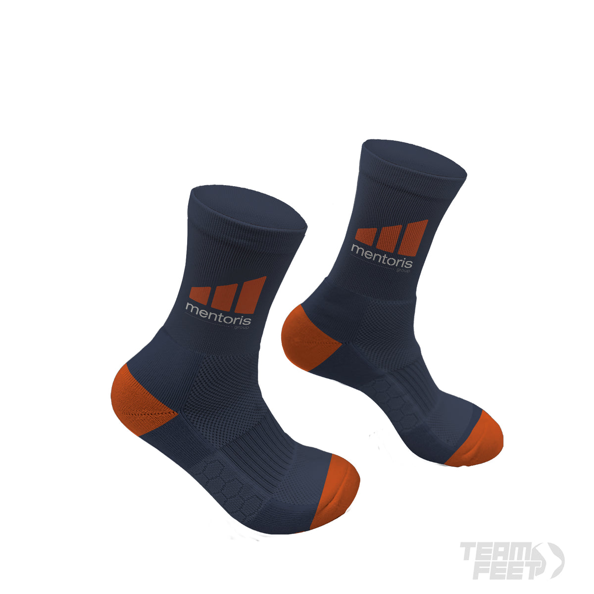 Mentoris - MID mockup