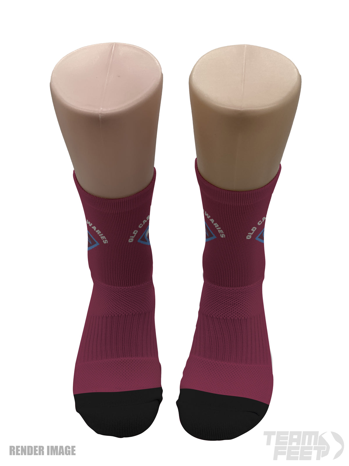 QLD Cassowaries  - MID