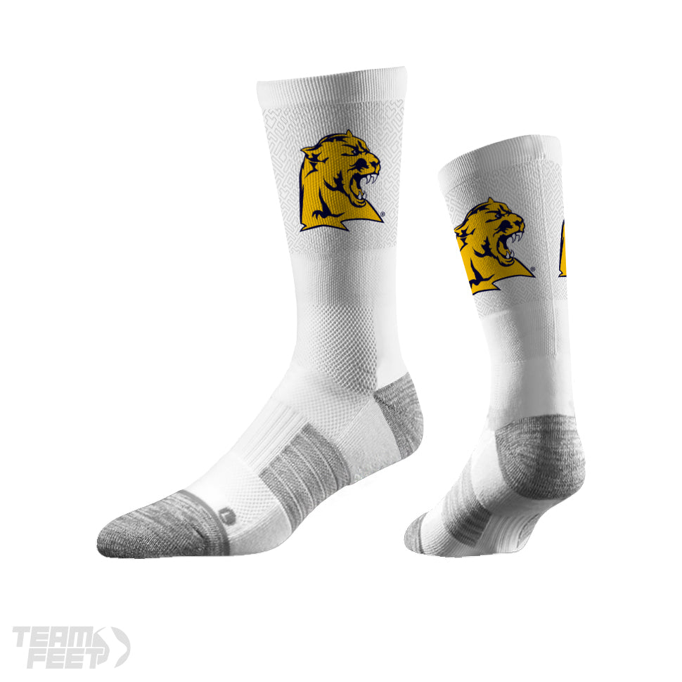 Whitmer high school - CREW mockup